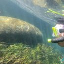 (주)크리스탈 이미지