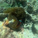 상도4동주민센터 | 남자아이 여름물놀이에는 써니워터 투명 유리보트!