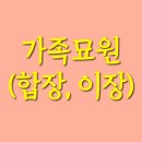 늘푸른장 이미지