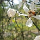 한실황토민박집 이미지