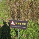 금강호 국민여가 캠핑장 이미지