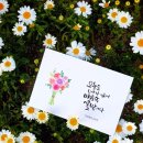 쉽고 예쁜 수채 캘리그라피 이미지