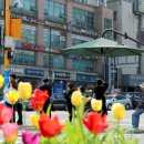 그늘막20 이미지