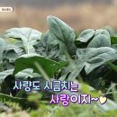 대구회 이미지
