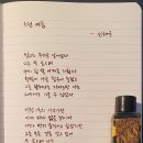 느린여름 이미지