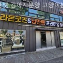 낭만펫 강아지분양 고양이분양 대전 본점 | 대전강아지분양 낭만펫 강아지분양 고양이분양 대전본점 행복을 선사할 완벽한 파트너