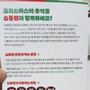 브라운아지트 이미지