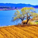 힐타운 공인중개사사무소 이미지