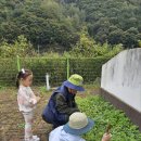 봉오초병설유치원 이미지