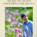 영샾 이미지