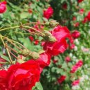 매표소 앞 화장실 이미지