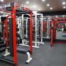 휘트니스 트리 이미지