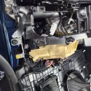 브이아이피독 이미지