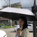 남면당구장 이미지