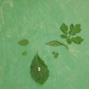 양서초등학교 이미지