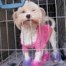 손수의과병원 이미지