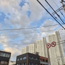 제중당약국 이미지