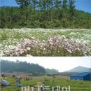 (주)고향마루 이미지