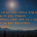 전정호농장 네이버블로그