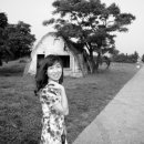 삼보목장 이미지