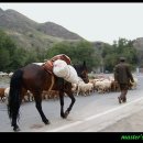 천지자연마을 이미지