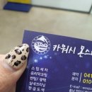 몬스터스팀세차 이미지