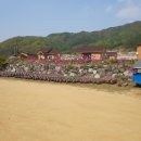 교동농장 이미지