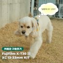 DR AUTO | 후지필름 X-T30 III 내돈내산 구매후기 : 첫 출사때 찍었던 필름 레시피 공유