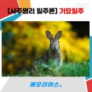 나침반여행사주 이미지