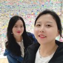 (주)동백투어 이미지