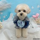 수지구보건소1층(통신실앞)_R | 임신 35주차 배뭉침 야간진료 / 회사 마지막 출근과 출산 선물 / 손가락 관절 파라핀 후기