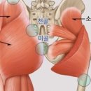 바디피플 이미지
