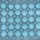 초정농장 이미지