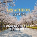 독립-18-02 | 서울대공원 아이랑 리프트 패키지 벚꽃 주차 현실후기