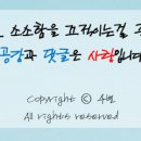 신닭발&분식