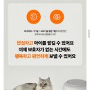 오냥오냥 고양이호텔 네이버블로그