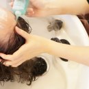 앙포레모리노 이미지