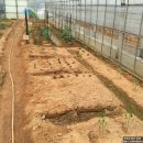 혜진농장 이미지