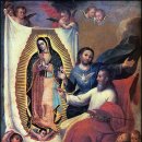 07/12/12 과달루페의 성모마리아Our Lady of Guadalupe; Madonna di Guadalupe 이미지