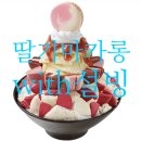 설빙순천대점 | (설빙 순천대점) 딸기마카롱 설빙 가격, 솔찍 맛후기, 평가