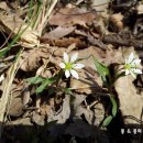 (주)푸름건설 | (캠핑) 계룡산자동차야영장. (구.동학사야영장) (2015년3월28일~29일)