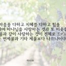 사랑포도원
