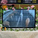 농축산물판매장 | 청주삼겹살맛집 ❝ 강서농축산물판매장 ❞ 방문후기