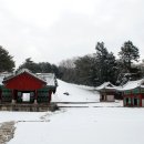 파주삼릉 이미지