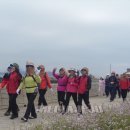 토평신용협동조합 이미지