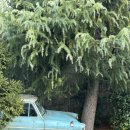 원더랜드 | [오사카 유니버설 스튜디오 재팬] 해리포터 &amp; 유니버설 원더랜드 정보, 후기, 꿀팁