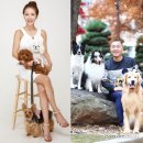 대사농장 이미지