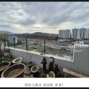 삼성공인중개사사무소 | 경기도 용인시 기흥구 언남동 스파팰리스리가 아파트 경매(49%)