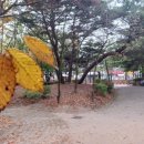 엄사중앙어린이공원 이미지