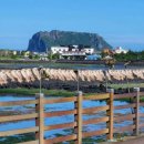 목화휴게소 이미지